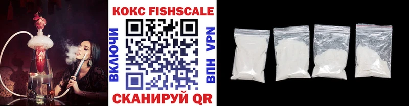 где купить наркотик  Томилино  Cocaine Fish Scale 